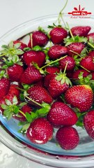 🍓 مين فينا ما بيحب الفراولة الطازجة؟ 😍
