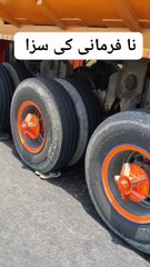 Technologia trending video