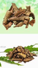 अशोक जड़ी-बूटी के फायदे 💯