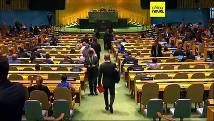UN General Assembly votes overwhelmingly in favour of immediate ceasefire in Gaza