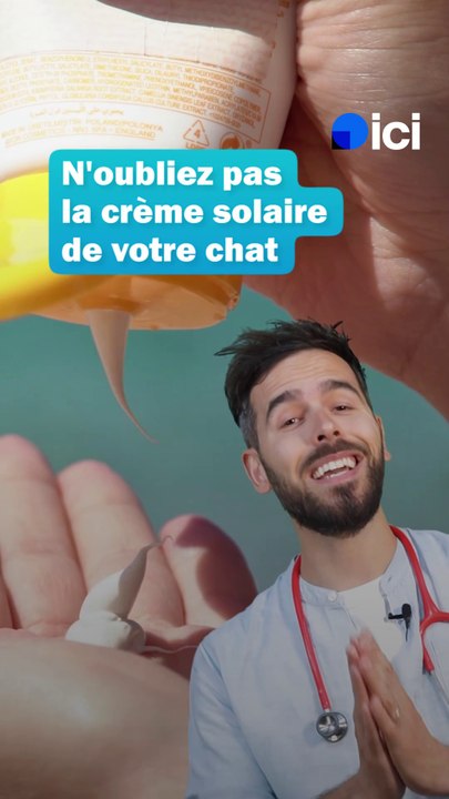 N'oubliez pas la crème solaire de votre chat cet été