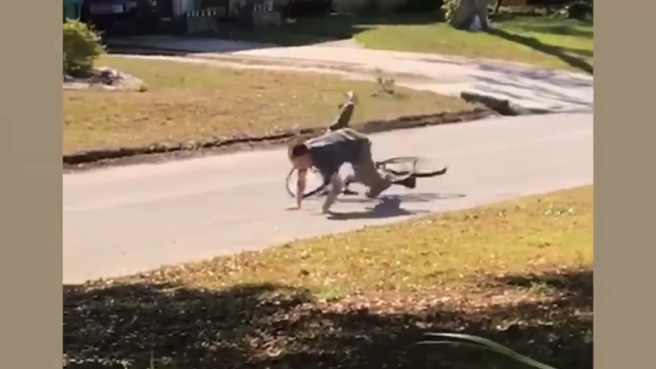 Try Not to Laugh Challenge 😂 | Epic Funny Fails Compilation 2025