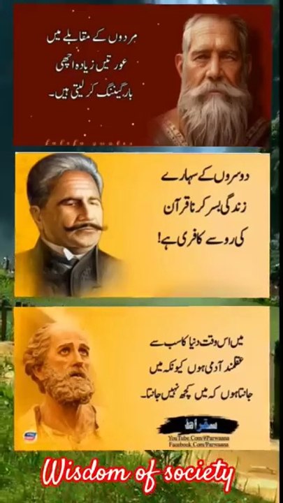 Wisdom of Society