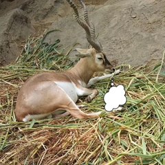 "They asked if I have baggage" 😆😆😆