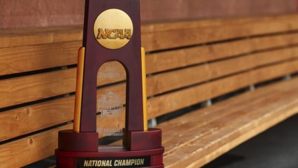 2025 Men's College World Series Preview & Bets