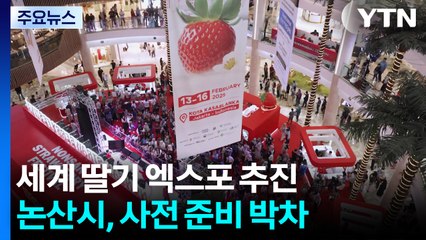 '논산 세계 딸기 산업 엑스포' 국제행사 승인 총력 / YTN