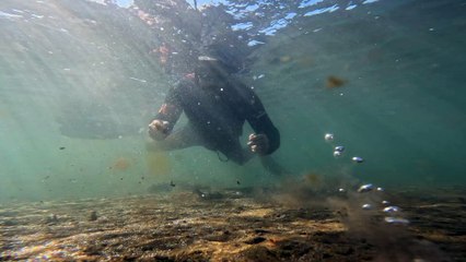 Coulée de boue due au cyclone Garance, Saline, centre Jacques Tessier, vase 02 avril 2025 (Bruce CAUVIN GIP RNMR)