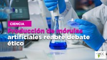 Producción de mórulas artificiales reabre debate ético