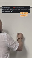 Tuto dessin pigeon facile