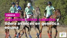 Argentina clona caballos y lidera avances en genética equina