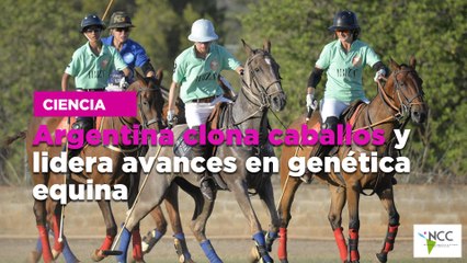 Argentina clona caballos y lidera avances en genética equina