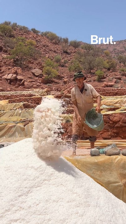 À la découverte d'une exploitation de sel à Souss-Massa-Drâa
