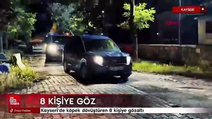 Kayseri'de köpek dövüştüren 8 kişiye gözaltı