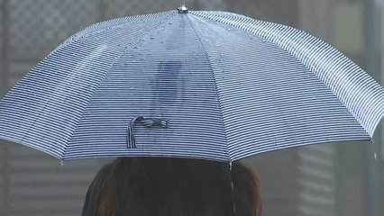 [날씨] "폭염 뒤로 호우 온다"...밤사이 시간당 30mm 강한 비 / YTN