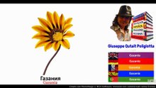 Visual Dict with Audio газания, жасмин, герань, гербера