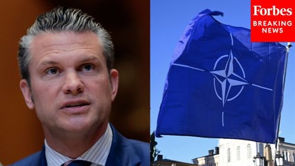 GOP Lawmaker Asks Secretary Pete Hegseth If The US Will 'Fulfill Its Duties Under NATO's Obligation'