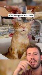 Je vais essayer avec le mien 😂