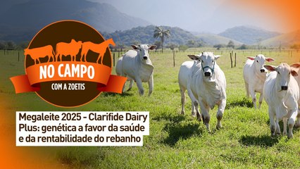 No campo com a Zoetis: Megaleite 2025 - genética a favor da saúde e da rentabilidade do rebanho