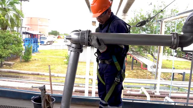 ATBEXPLICA - Estudio cuestiona si cantar y bailar son universales