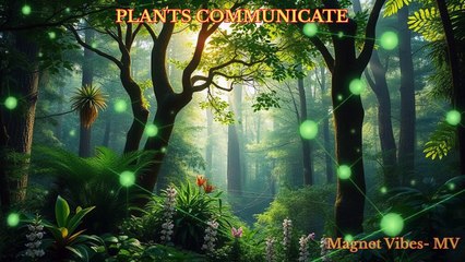 Plants Communicate