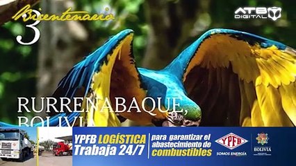 BICENTENARIO - Rurrenabaque: un Destino Turístico Resiliente