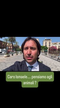 Ferrandelli - Caro Ismaele……pensiamo ai diritti degli animali? (13.06.25)