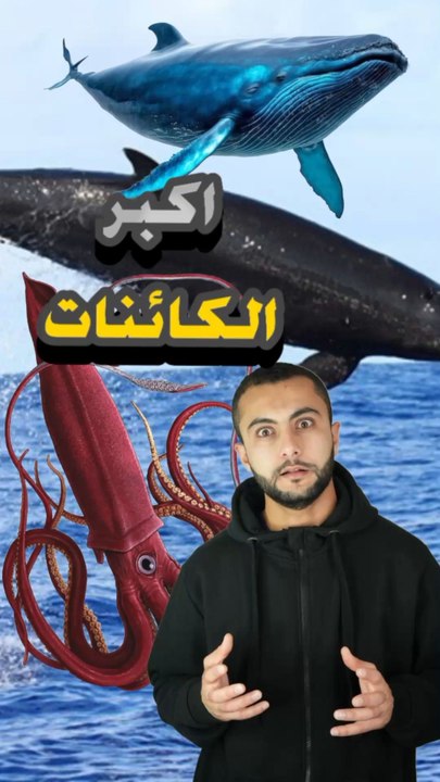 أكبر 3 كائنات بحرية حجمهم أسطوري! 🐋🌊https://psce.pw/7qk3qh#النواة #الحوت_القاتل_الكاذب #Alnawa #dubai🇦🇪 #dubailife #False_Killer_Whale  #Giant_Squid #Blue_Whale  #trending #travel #nature #wildlife