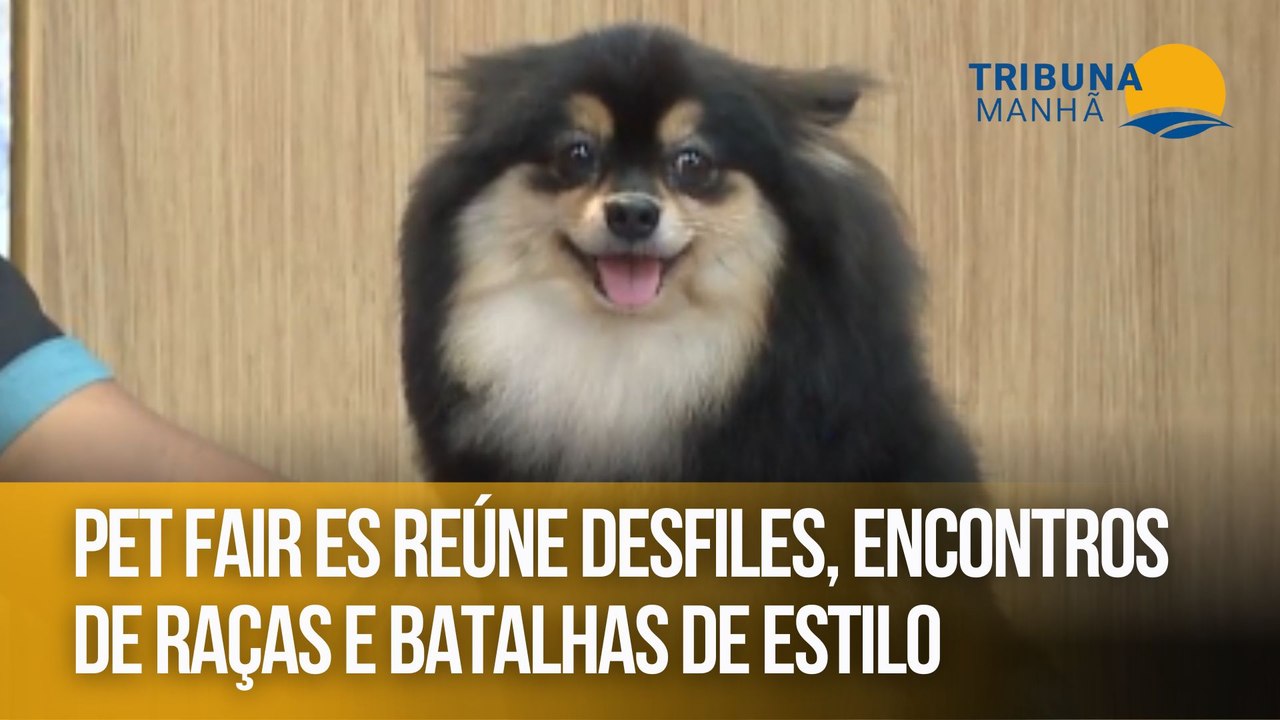 Pet Fair ES reúne desfiles, encontros de raças e batalhas de estilo