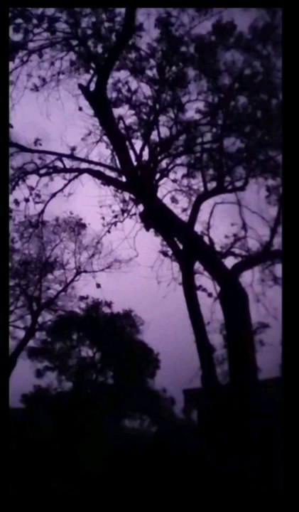 A scary trip of Kashmir Valley#horror #horrors #scary #haunted #kashmir #eerie #asmr #asmrvideos #asmrvideo #spooky #midnight #jungle #horrorvideos #viral #viralvideos