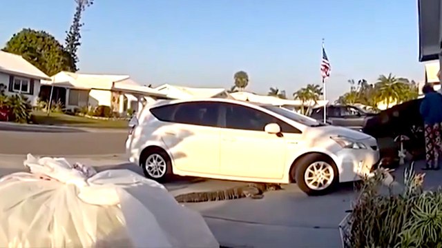 An 8-Foot Gator Crashed a Pizza Delivery in Florida