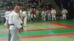 Fabien delmas inter 2008 jsa-judo