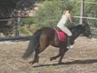 Lulu et mystere au galop