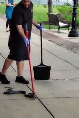 The art of reptile restraint: a guide to interacting with snakes