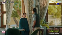 الحلقة 48 Mann Mast Malang المسلسل الباكستاني قلب هائم