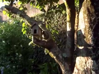 Los nueve puntos de mi padre | movie | 2009 | Official Trailer