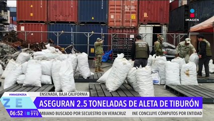 Aseguran casi 2.5 toneladas de aleta de tiburón en el puerto de Ensenada