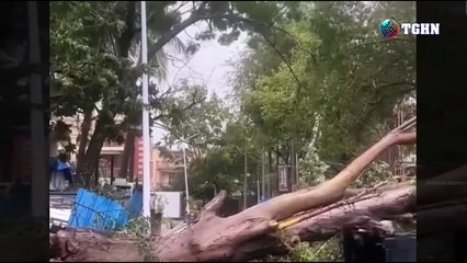 Khung Cảnh tan hoang khi bão Wutip đổ bộ Trung Quốc, gió mạnh, cây ngã, tâm bão cấp 13