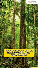 Gubernur Riau Ajukan Penambahan Polisi Hutan ke Pemerintah Pusat