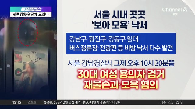 ‘보아 낙서 테러’ 용의자 검거…“재물손괴·모욕 혐의”