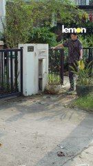 Bí quyết để vợ nghe lời, vào mà học nè 🤣 #BAB2501C034