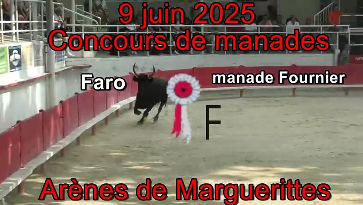 2025 06 09 Faro Fournier