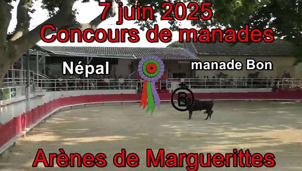 2025 06 09 Népal Bon