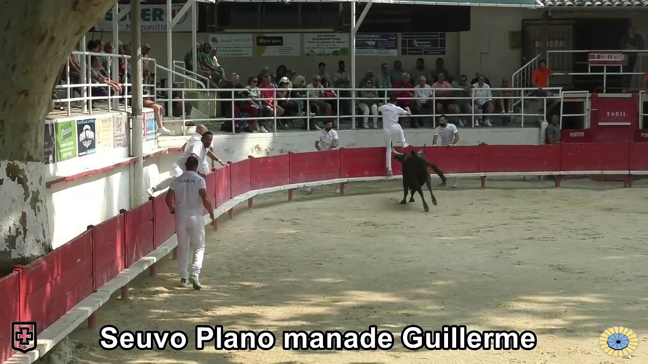 2025 06 09 Seuvo Plano guillierme