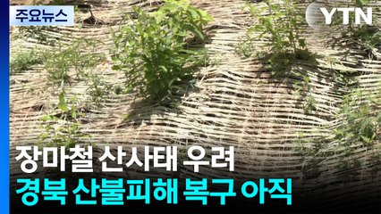산불 피해지 곳곳 60~80㎜ 호우..."산사태 우려" / YTN