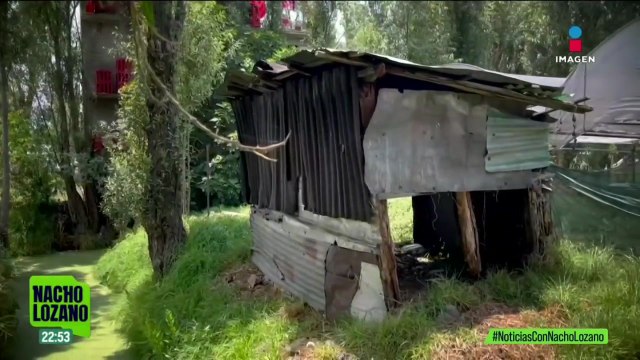 Asentamientos irregulares avanzan sobre zona protegida en Xochimilco