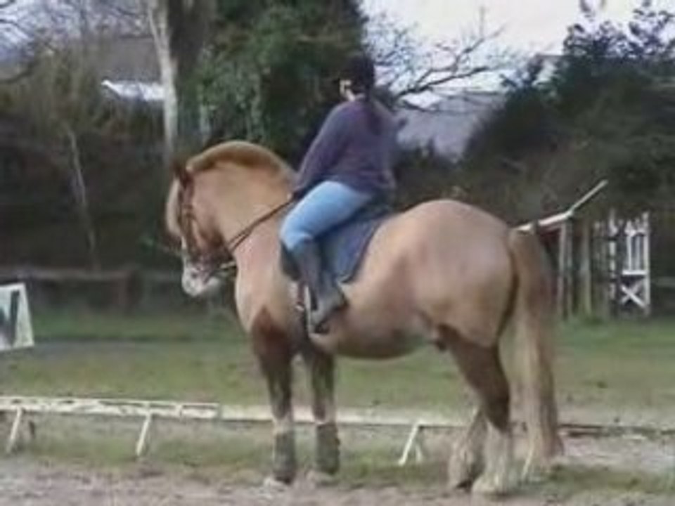 Film le cheval breton