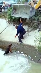 This man risks himself to rescue this dog