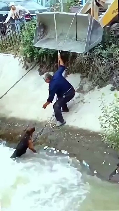 This man risks himself to rescue this dog