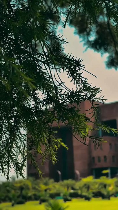 #cgcbeautifulcampus 😍—-#collegebeauty #cgcjhanjeri #viral #admission #instagramreels #trending #college #cenimatography