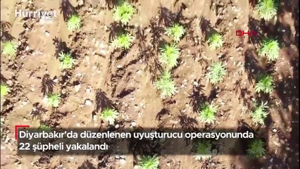 Diyarbakır'da uyuşturucu operasyonu: 22 şüpheli yakalandı